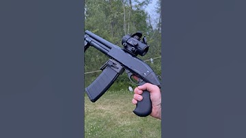 Shotgun or AR? #shorts