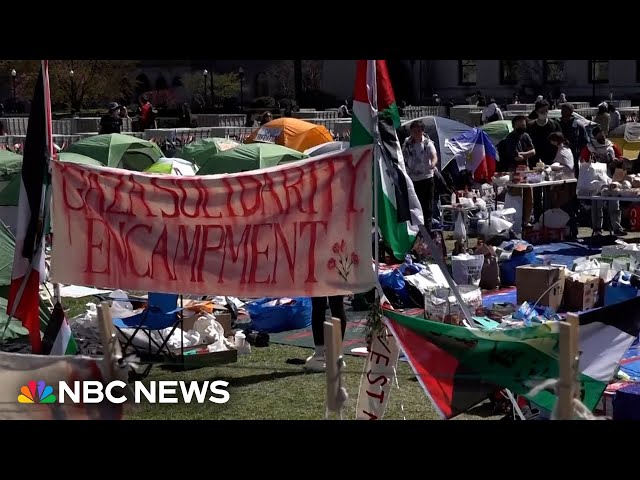 Pro-Palestinian encampments grow on college campuses in the U.S.