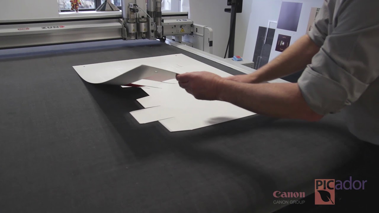 Demo Picador Packaging CAD software