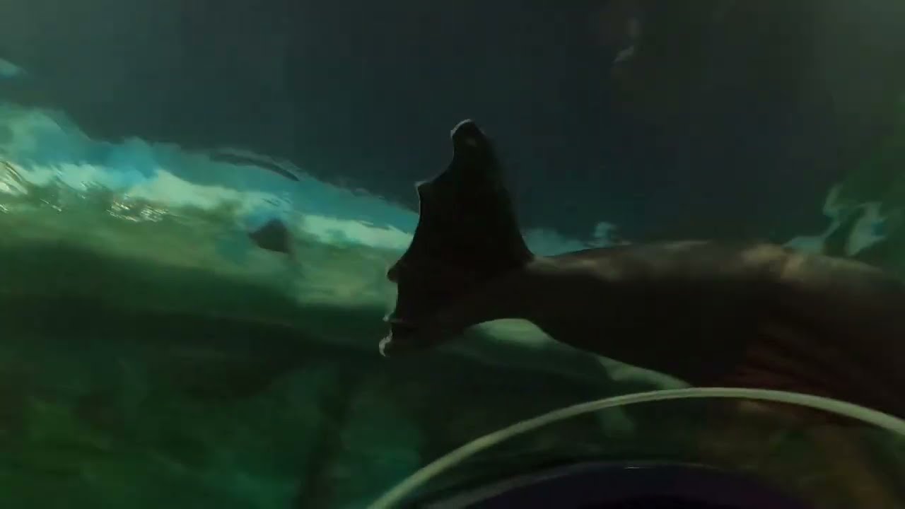 Polaria Museum in Tromso - A Quick Tour