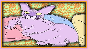 This is what peak performance looks like