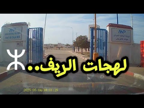لهجات الريف الأمازيغية من تاريفيت إلى الشاوية اكتشف التشابه المذهل ⵣ 