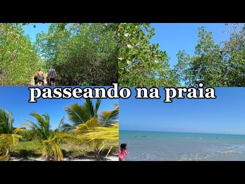 Passeando na praia