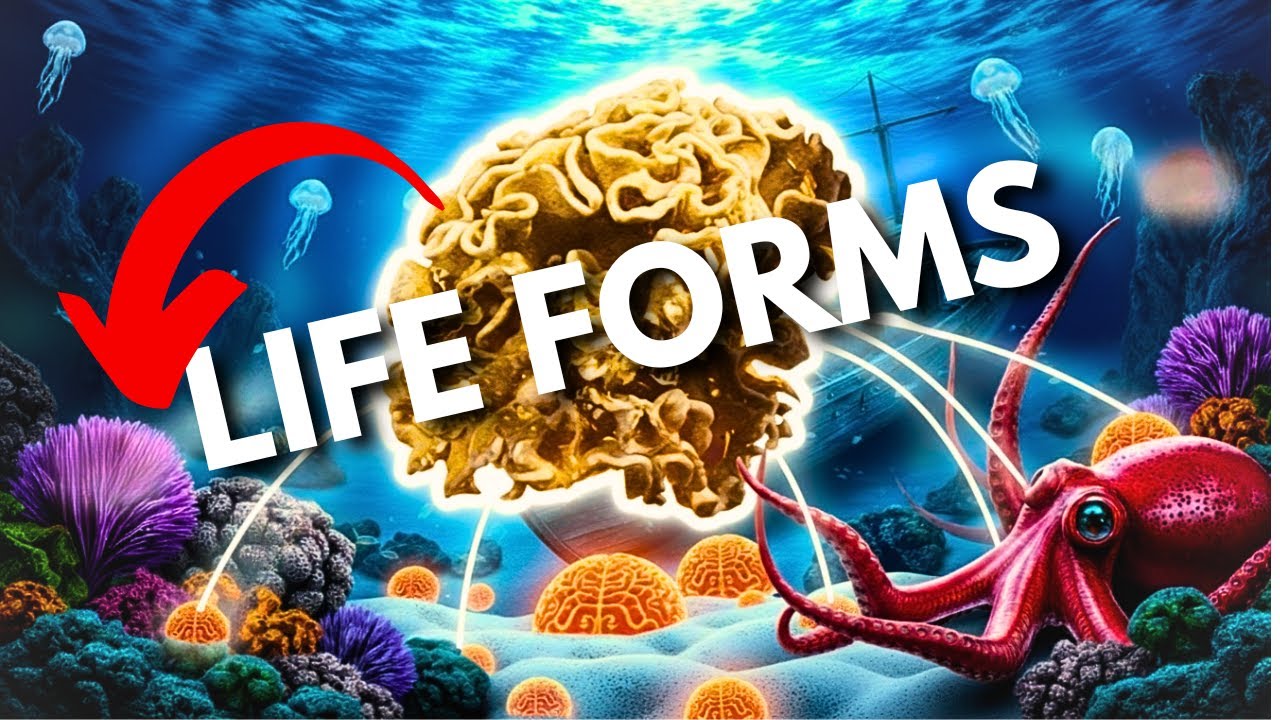 Scientists Found Impossible Life Forms in Earth's Deepest Ocean - YouTube