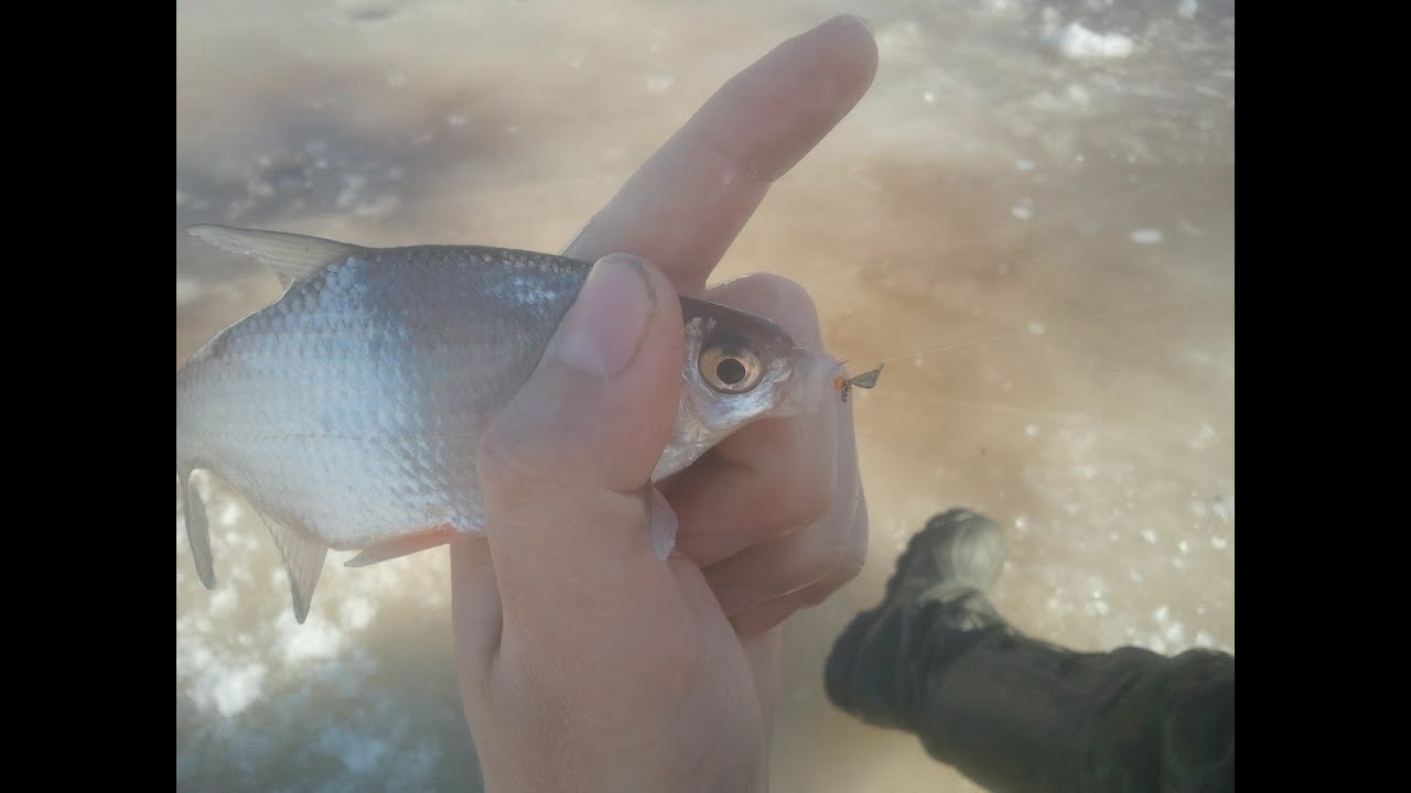 Безмотыльная мормышка хит сезона 2013-2014