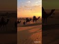 Aesthetic of Rajasthan or Beauty of Rajasthan