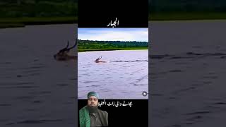 Download Lagu Al malkul qudus MP3