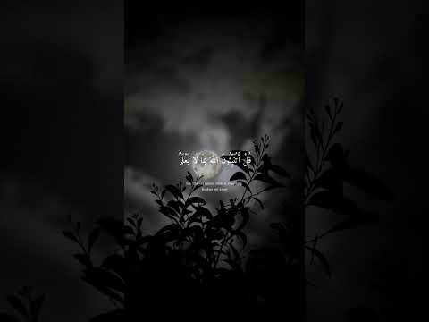 ويعبدون من دون الله ما لا يضرهم ولا ينفعهم القارئ عبد الرحمن مسعد سورة يونس قرآن اكسبلور الله