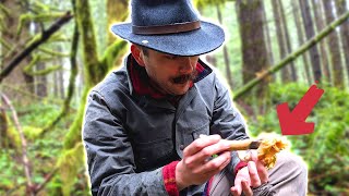 PNW Chanterelle HOW-TO - Wild Mushroom Hunting in the Cascades!