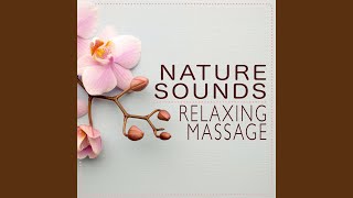 Lakeland Birdlife - Outside Broadcast Recordings