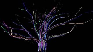 Vivid Sydney 2023 | LIGHTSCAPE - 3 - NEON TREE | ROYAL BOTANIC GARDEN