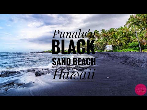 Punalu U Black Sand Beach Island Turtles Swimming And Snorkeling Watch This Video On You
