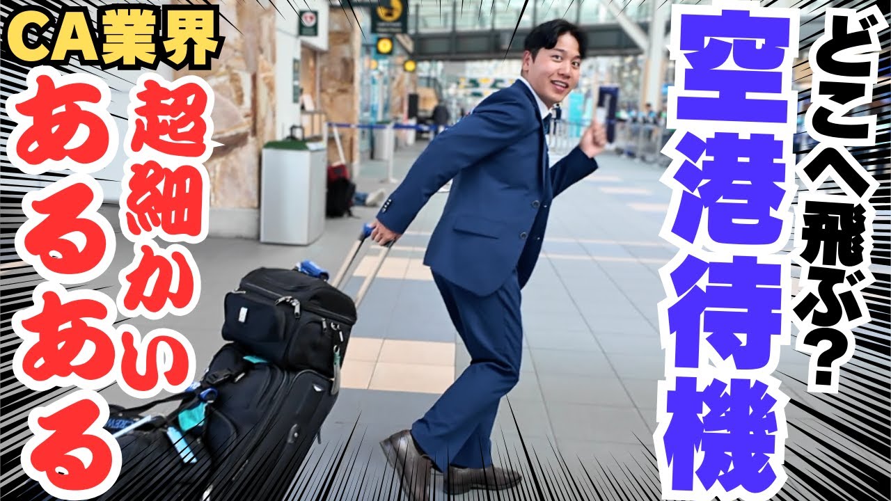 【裏方CA】欠航を防ぐ為、空港待機する５時間｜業界あるある