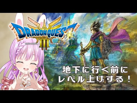 【 #ドラクエ3 】ドラゴンクエスト3 そして伝説へ HD2Dリメイク版！ のんびりプレイしていく！⑧【VTuber/宇佐木そら】＃そら色ライブ