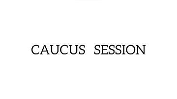 Private Caucus | Mediation Process | -Mock Mediation Part 5