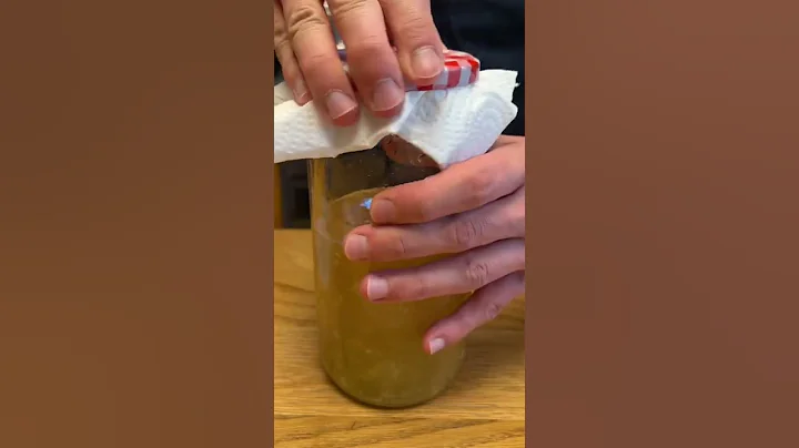 How to make a Ginger Bug (Ginger Beer Starter)