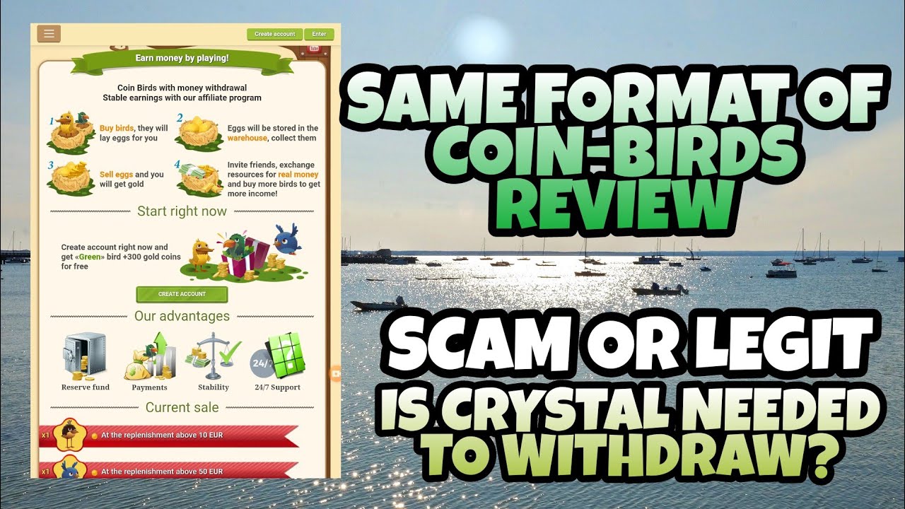 SAME FORMAT WITH COIN-BIRDS REVIEW | SCAM OR LEGIT