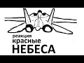 РАЗБОР ТИЗЕРА  «Красные небеса» War Thunder  ИЩЕМ F-14 Tomcat