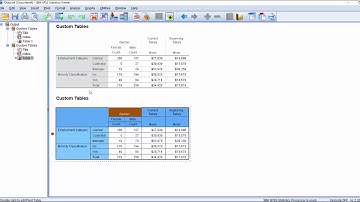 How to change the appearance of your output in SPSS