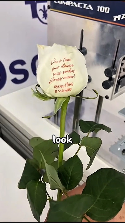 Download lagu This Men Came up with a Genius Business Idea #shorts #business #businessideas