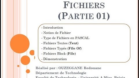 Cours 18 - Fichiers (Partie 01)