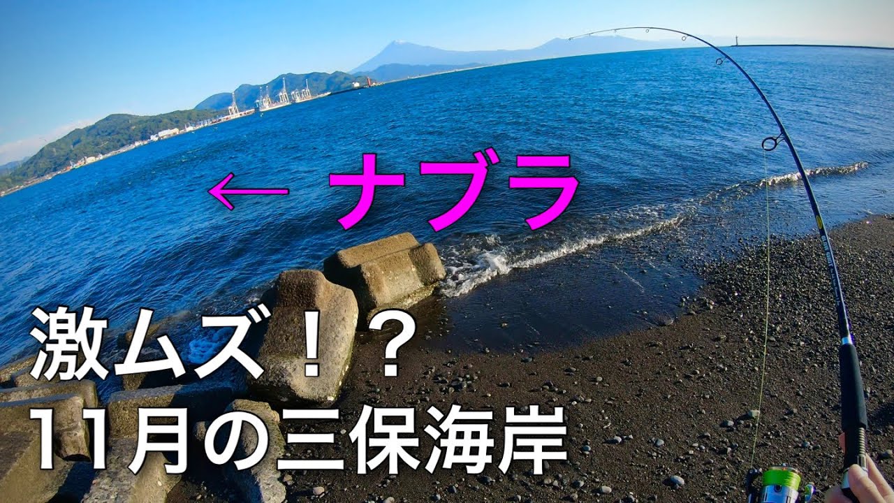 激ムズ！？11月の三保海岸でボイルを釣る！
