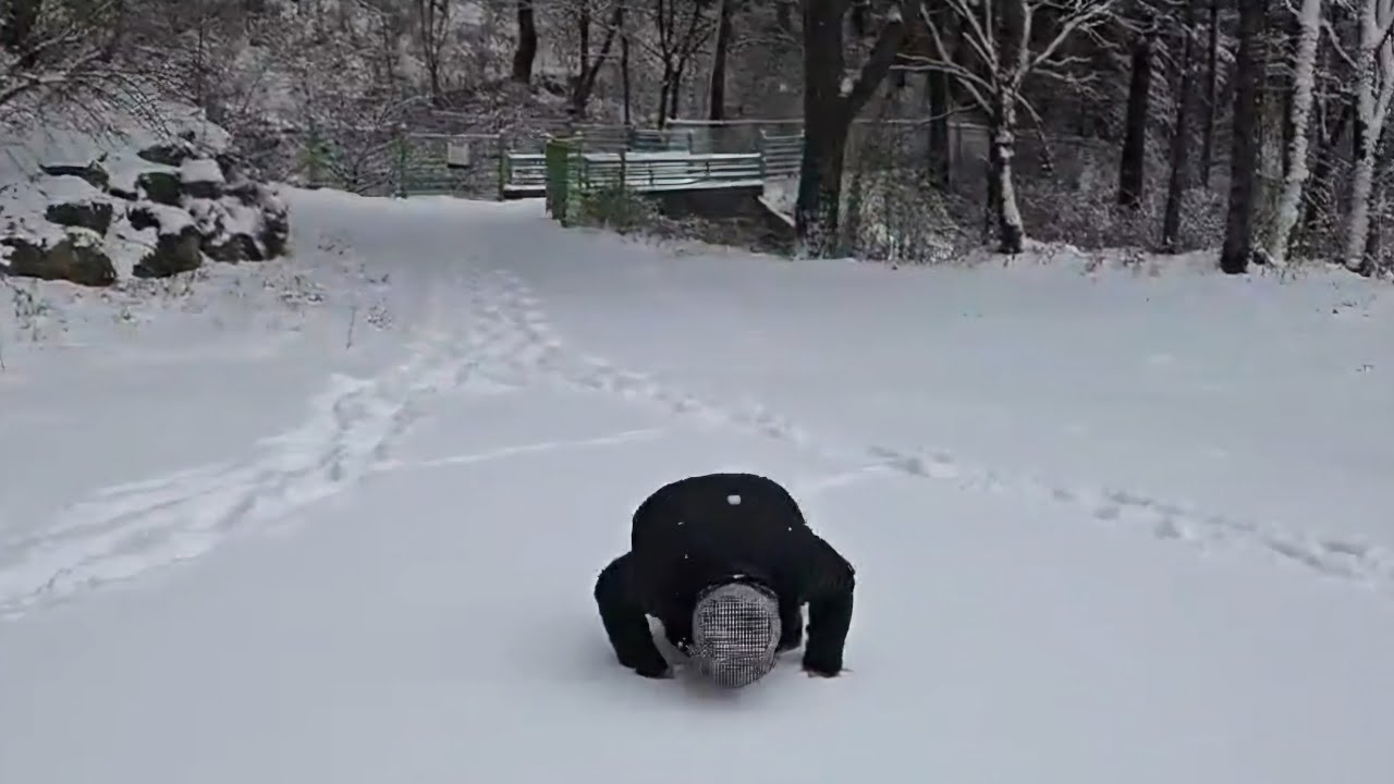 설 연휴 일요일 아침 ❄️눈❄️ 내리는 태백 (여러분 눈길 조심히 다니세요)