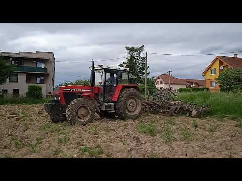 Video: Príprava Pôdy Na Klinčeky
