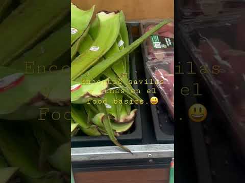 encontre tunas en food basics