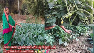 கல்பான அண்ணி விட்டு தோட்டம் பார்க்கலாம் வாங்க 🫰🏻🏡🪷💞/kalapana anni house garden vlog 🙏🙏🙏#video 