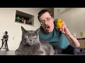 THE BROKEN CAT 🙀 - Ricky Berwick