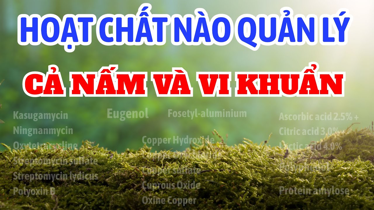 Hoạt chất nào quản lý CẢ NẤM VÀ VI KHUẨN | Sản phẩm phổ biến quản lý cả nấm và vi khuẩn