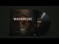 Ts Gang Waonyeshe Official Music Audio