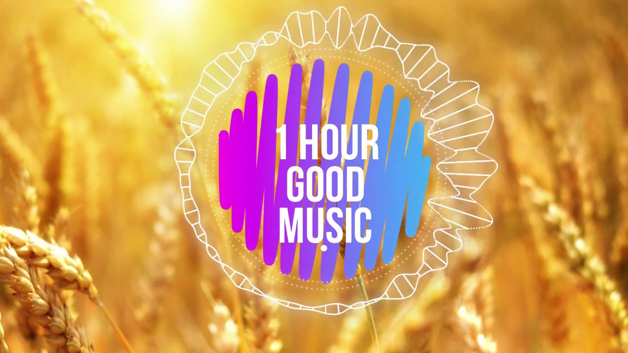 Erik Lund - Summertime [1 HOUR ]