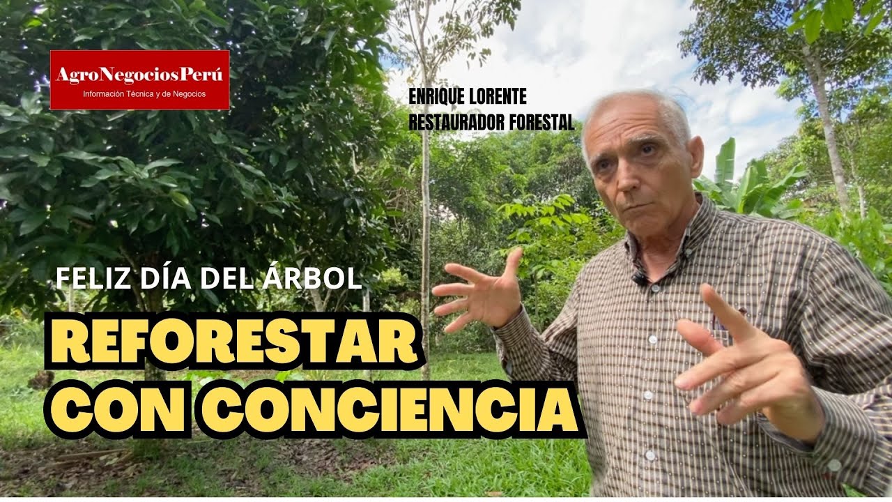 En industria forestal no aspiremos a compararnos con Chile sino con Brasil