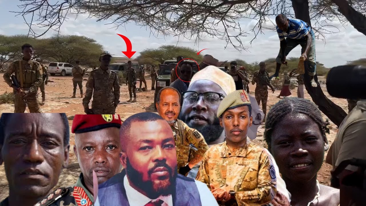 Daawo, B Jareerweyne waa Carab Asalkooda. Somaliya iyaga loogu yimid