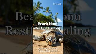 Honu Resting on Beach 🏖🐢 #shorts #HawaiianBGM