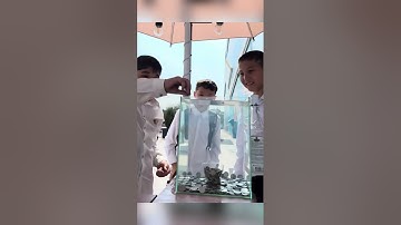 🤣 A collection of fails so funny, it’s legendary — Funniest Fails by Adam Rose!