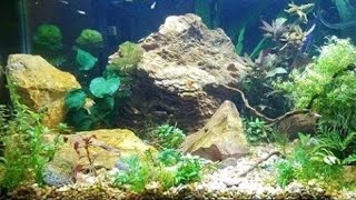 Which Rocks Can I Put in My Aquarium? 
Geology Basics - Aquascape Your Fish Tank For Free