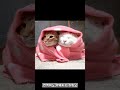 겨울 달리기를 실천한 사람들 99%가 얻은 놀라운 3가지 효과! #겨울달리기 #겨울러닝 #초보러너 #달리기효과 #40대