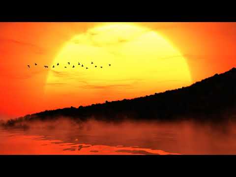 Rahatt Matusa Bomber 