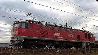 レッドサンダーEF510-13牽引高速貨物4095レ名古屋→新潟