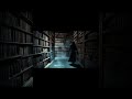THE OLD LIBRARIAN INTRODUCTION