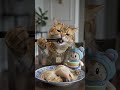 Watch this clever feline taste test tasty treats #catlover #foodie #AI