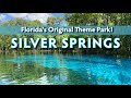 Exploring Silver Springs State Park: Florida's Original Theme Park With....Wild Monkeys?!