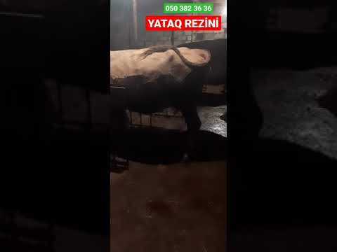 Video: Niyə Istək Yerinə Yetirilmir?