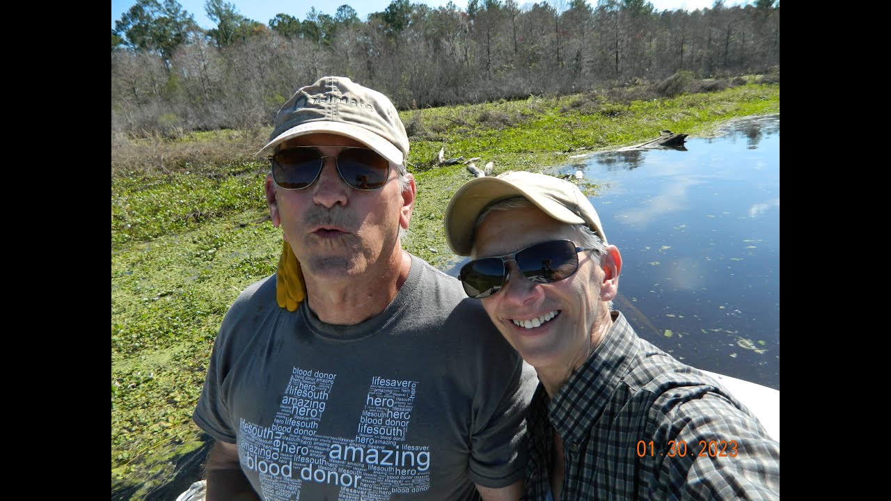 2023 Florida bowfishing season start TILAPIA are here!!! YouTube