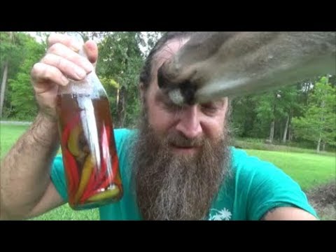 copycat hot sauce recipes part 3 (Tabasco and pepper ... - YouTube