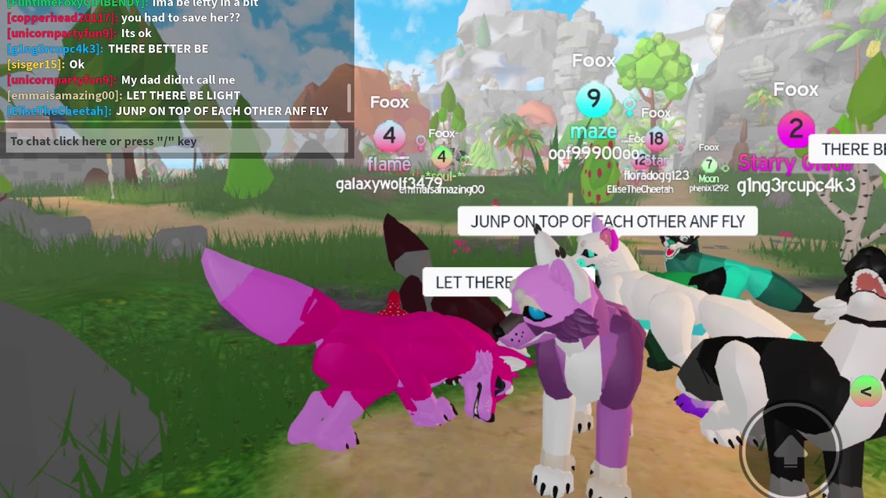 Birdy Birdy Woof Woof Song Lyrics