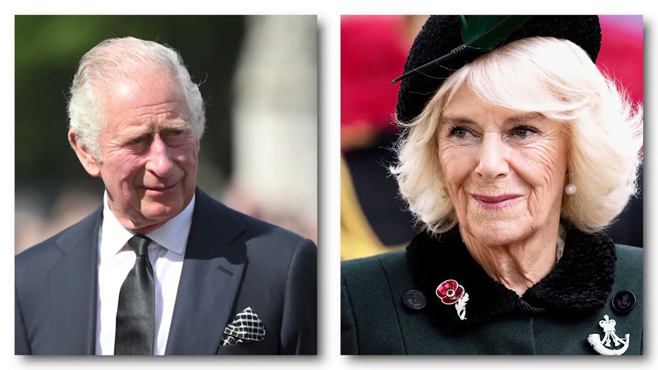 King Charles’ Doctor Leaks Confidential Report — The Truth About His